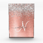 Rose Gold Pretty Girly Silver Glitter Sparkly Acrylic Award<br><div class="desc">Easily personalize this trendy chic acrylic award design featuring pretty silver sparkling glitter on a rose gold brushed metallic background.</div>