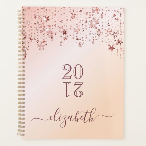 Rose gold stars appointment book 2025 planner