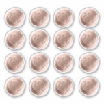 Rose Gold Wax Seal Initials Wedding Monogram Sticker<br><div class="desc">Rose Gold Wax Seal Initials Wedding Monogram Sticker - Wedding Monogram Initials Stickers for use on your invitation envelopes!

 ~ Check my shop to see the entire wedding suite for this design!</div>
