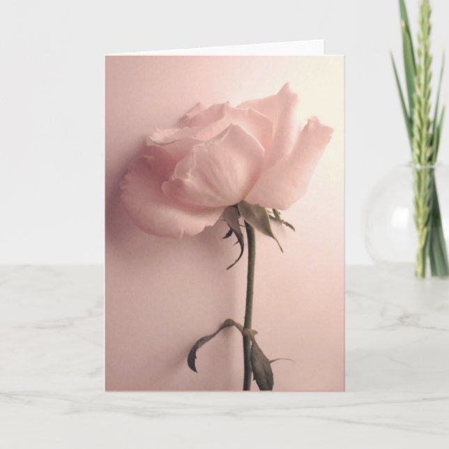Rose Greeting Card (Front)