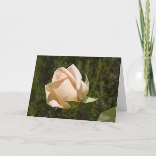 Rose greetings blank card