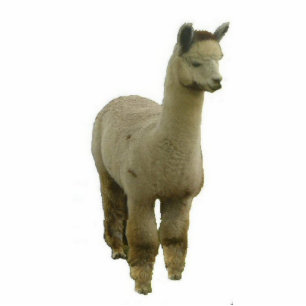 Rose Grey Alpaca Cutout