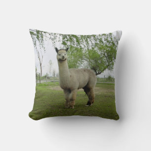 Rose Grey Alpaca Throw Pillow