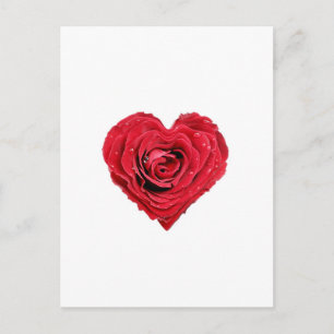 Rose Heart Postcard