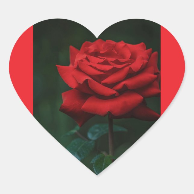 rose  heart sticker (Front)