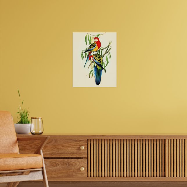 Rose-Hill Parakeet by Elizabeth Gould, Poster (Living Room 2)