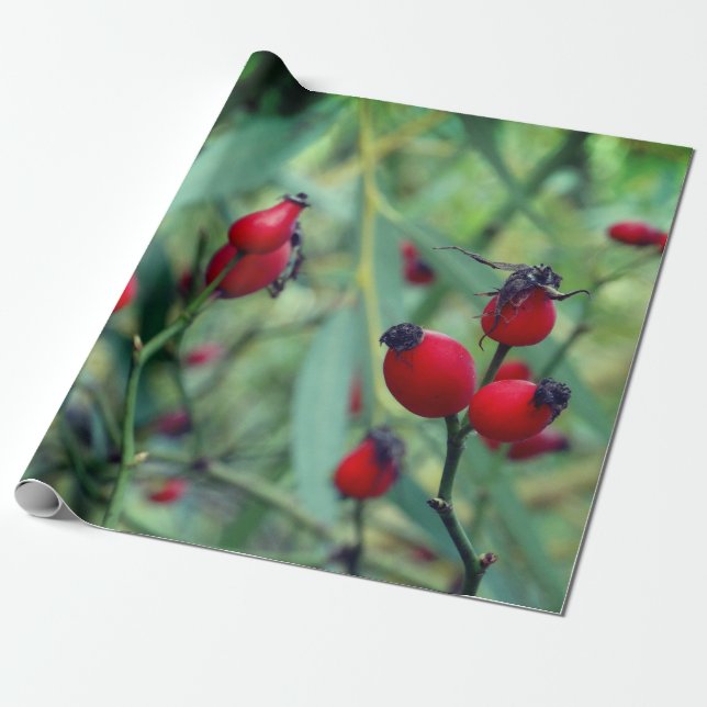 Rose hip Autumn Phtography Wrapping Paper (Unrolled)