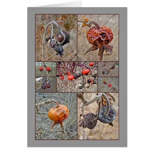 Rose Hip Collage Cards (Front)