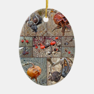 Rose Hip Collage Ceramic Ornament