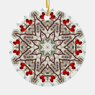 Rose hips on ice ceramic ornament