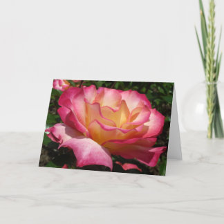 Rose  holiday card