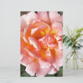 rose in autumn (Standing Front)