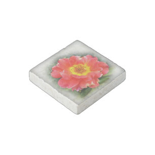Rose in autumn stone magnet