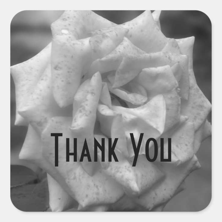 Rose In Black And White Flower Thank You Square Sticker Zazzle