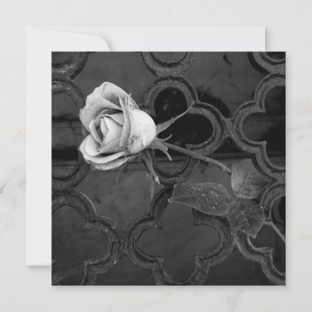 Rose in black-and-white sympathy card (Front)