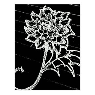 Rose in black postcard