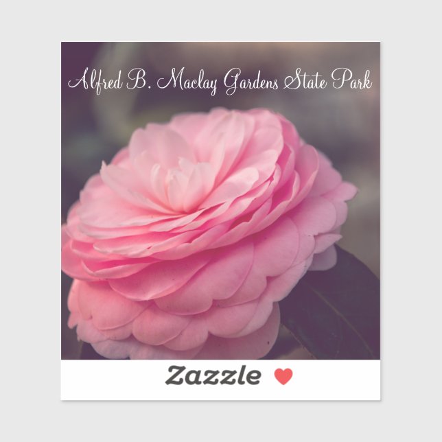 Rose in Bloom Sticker (Sheet)