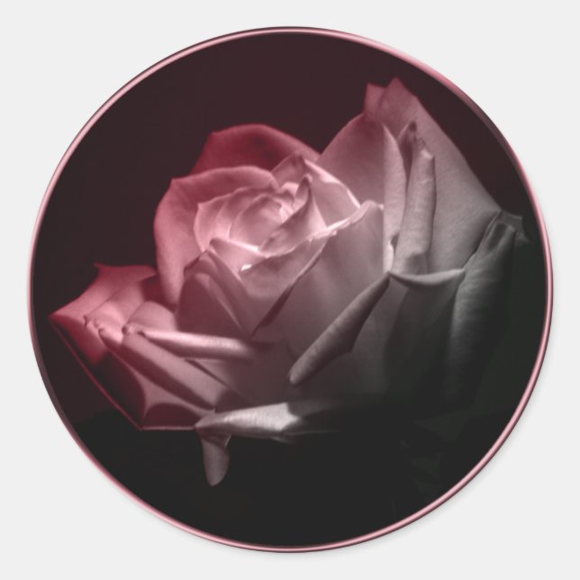 Rose In Bloom Wedding Invitation Envelope Seal (Front)