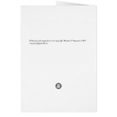 Rose in Oval Cards (Back)