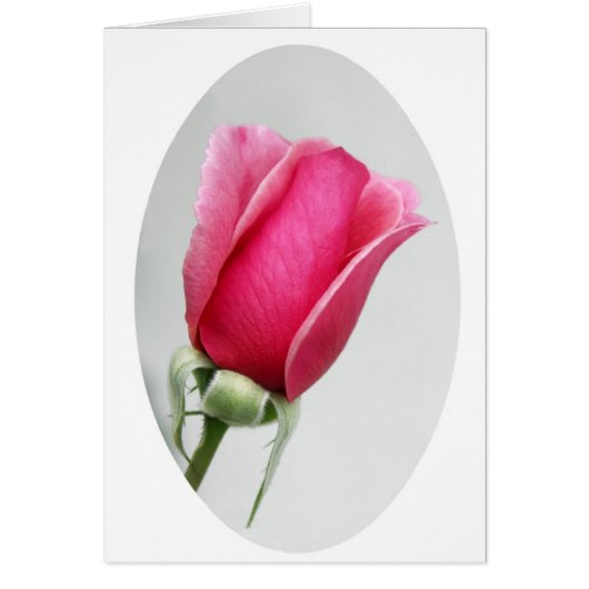 Rose in Oval Cards (Front)