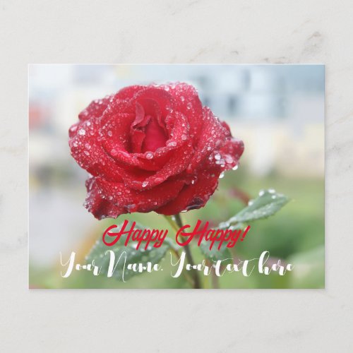 Rose in raindrops  holiday postcard
