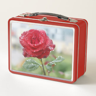 Rose in raindrops metal lunch box