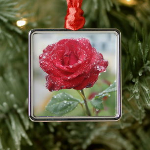 Rose in raindrops metal ornament