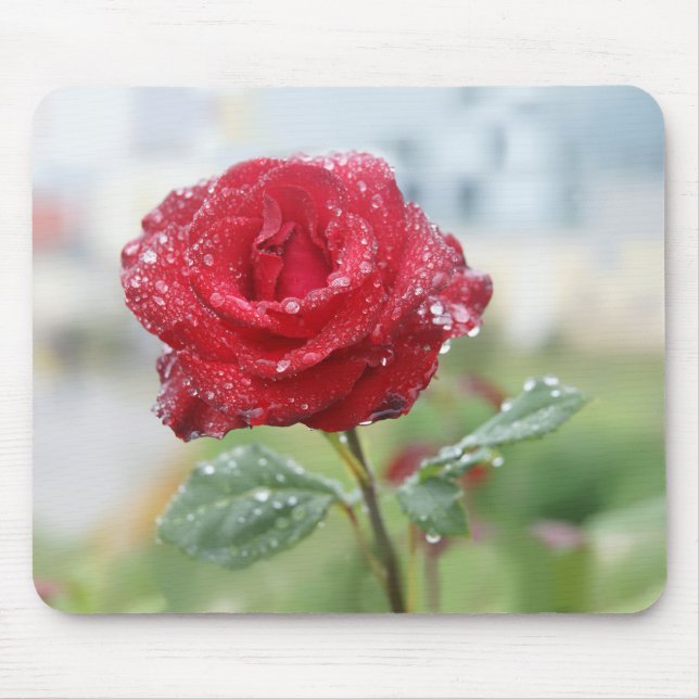 Rose in raindrops mouse pad (Front)