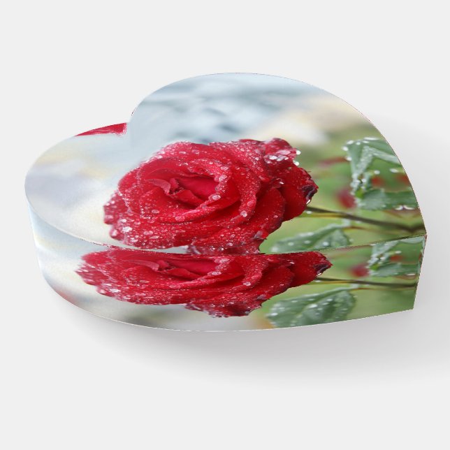 Rose in raindrops  paperweight (Angled)