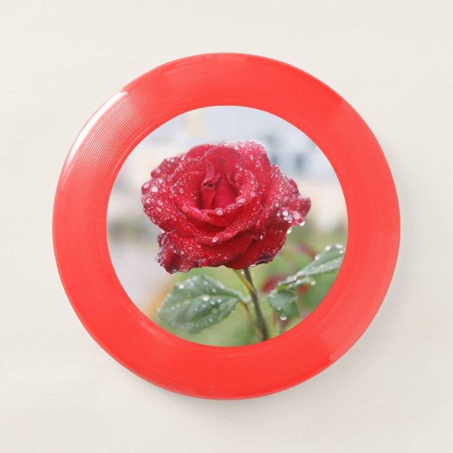 Rose in raindrops  Wham-O frisbee (Front)