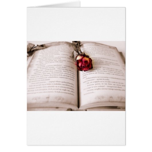 Rose in the bible cards (Front)