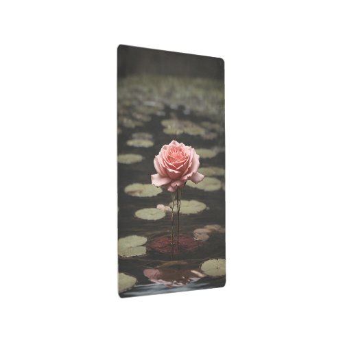 Rose in the water  metal print