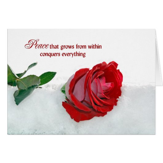 Rose in Winter Cards (Front Horizontal)