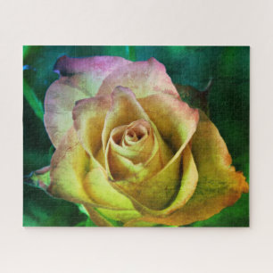Rose Jigsaw Puzzle
