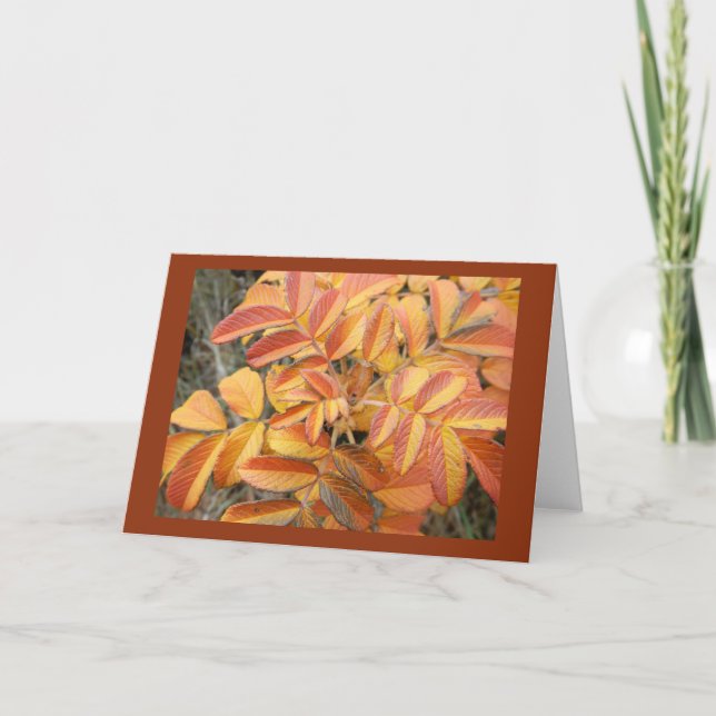 Rose Leaf in Autumn Blank Note Card (Front)