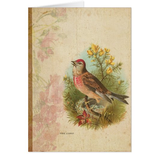 Rose Linnet Cards (Front)