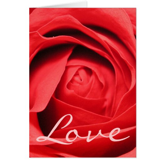 Rose Love Card (Front)