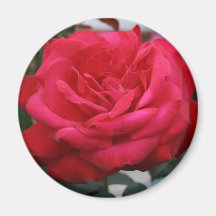 Rose Magnet