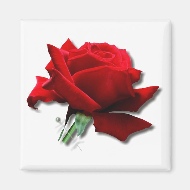 Rose Magnet (Front)