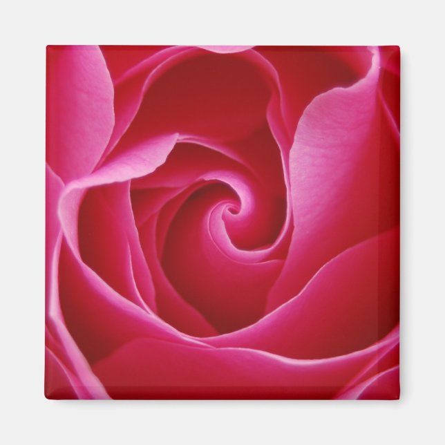 Rose Magnet (Front)
