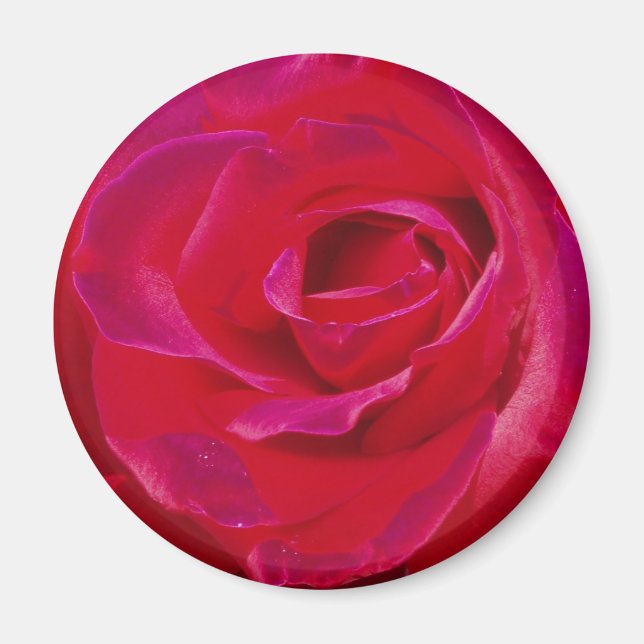 Rose Magnet (Front)