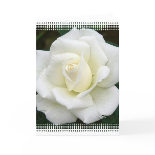 Rose Meanings Greeting Card