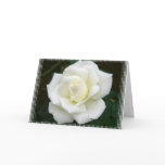 Rose Meanings Greeting Card
