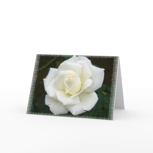 Rose Meanings Greeting Card