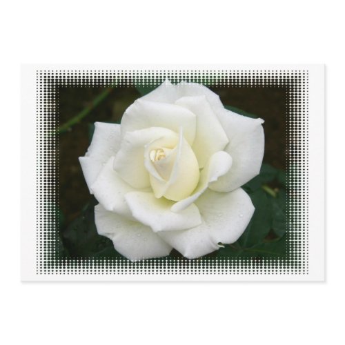 Rose Meanings Invitation
