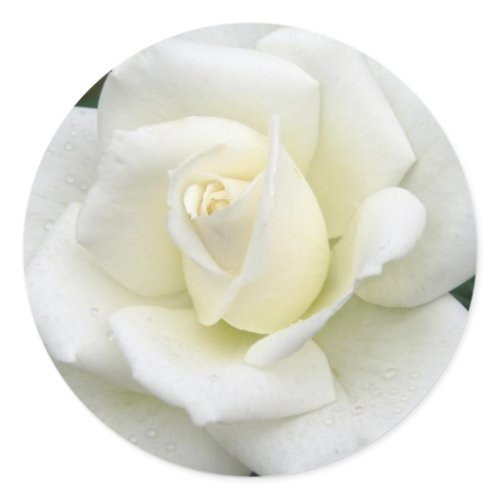Rose Meanings Sticker