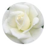 Rose Meanings Sticker