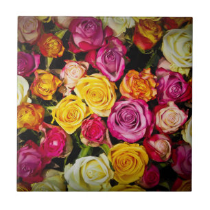 Rose Mix Ceramic Tile