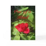 Rose Mother's Day Card card