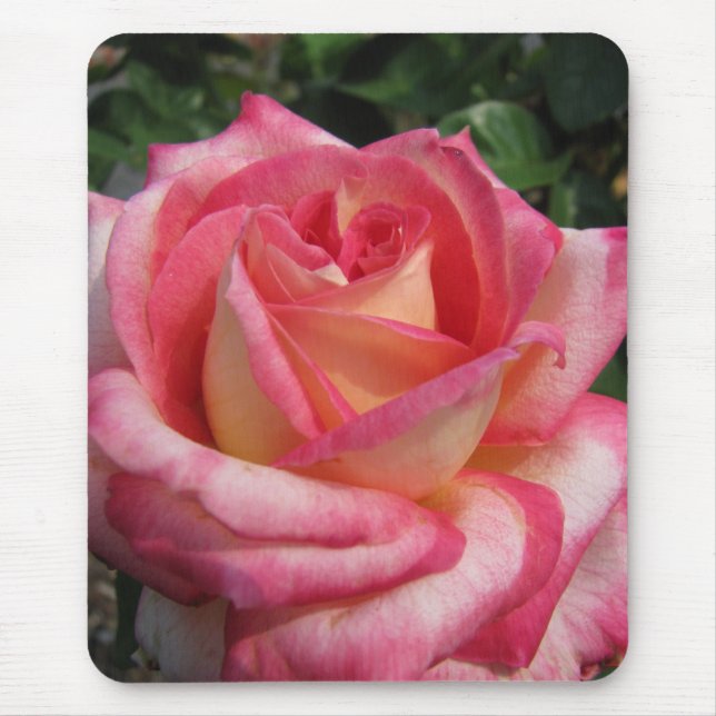 Rose Mouse Pad (Front)